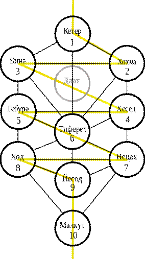 http://upload.wikimedia.org/wikipedia/commons/thumb/c/c9/Tree_of_life_wk_02-ru.svg/284px-Tree_of_life_wk_02-ru.svg.png