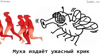 Муха - звуковое оружие