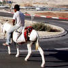 Description: http://l-userpic.livejournal.com/122294962/47523161
