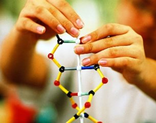 http://www.jewish.ru/style/science/2014/09/genome.jpg