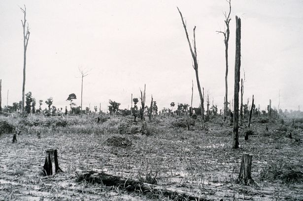 http://econews.com.au/wp-content/uploads/2012/08/Vietnam-War-Agent-Orange-Defloliaion.jpg