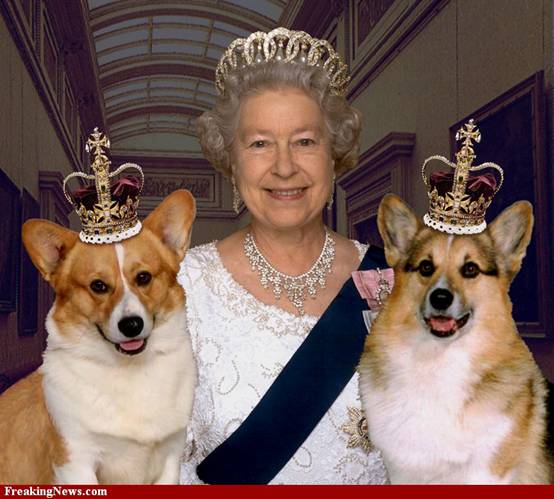 http://awhitecarousel.com/wp-content/uploads/2011/04/Queen-Elizabeth-II-18113.jpg