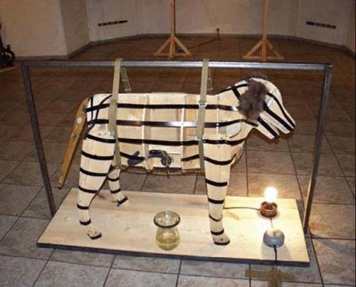 http://animalfotos.ru/photo/dd/dd23d246e49a7ec1025cb5bd6e1ea5d6.jpg