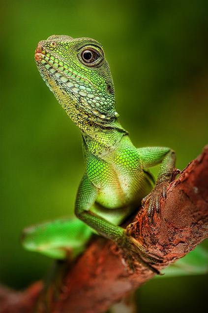 http://prikol.is/wp-content/uploads/2014/06/bhwildernessphoto-5-620x.jpg