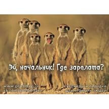 https://im3-tub-ru.yandex.net/i?id=7903f9ad9f60d92ccfbc19c7a7973ab9&n=33&h=215&w=215