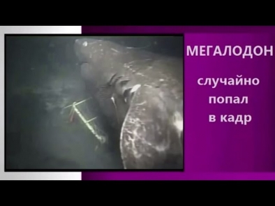 http://godpesen.ru/uploads/thumbs/c/d/d/cdd4fc6c97309b5e88154bd60e38d7a8.jpg