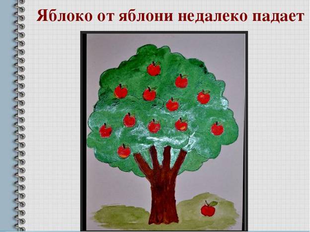 http://uzluga.ru/potrb/%D0%9F%D0%BE%D1%81%D0%BB%D0%BE%D0%B2%D0%B8%D1%86%D1%8Bb/img33.jpg